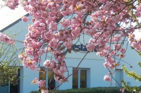 Campanile Reims Est - Taissy - photo 9