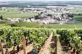 Premiere Classe Reims Est - Taissy - photo 7