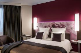 Mercure Reims Centre Cathédrale - photo 21