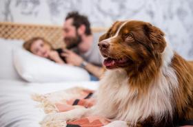 Mercure Reims Parc des Expositions - photo 10