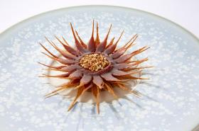 Domaine les Crayères - photo 19