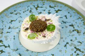 Domaine les Crayères - photo 8